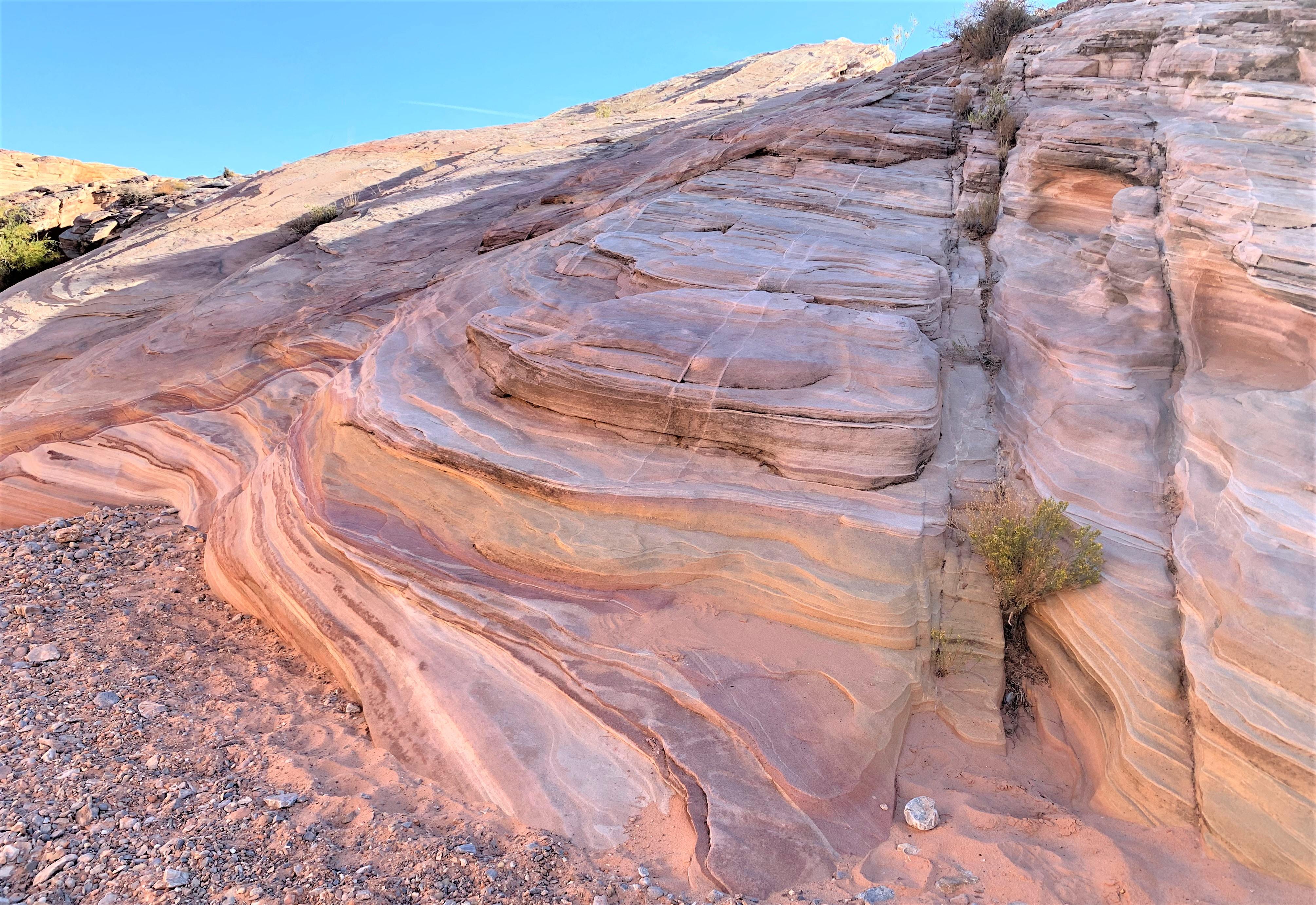 Nevada